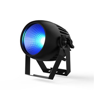 100 W RGBW IP65 COB Par